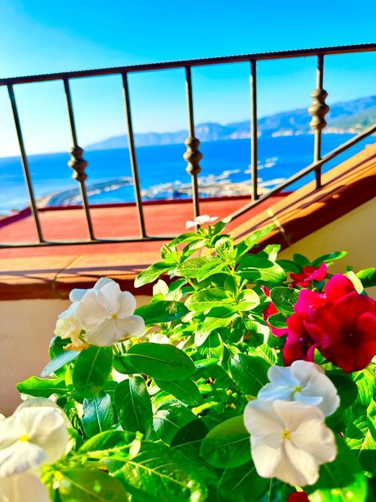 Apartamento Cala Gonone House Exterior foto